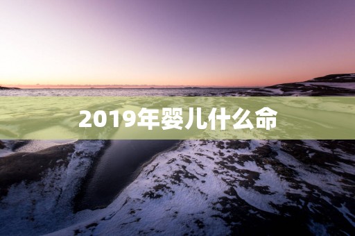 2019年婴儿什么命