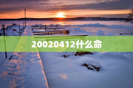 20020412什么命