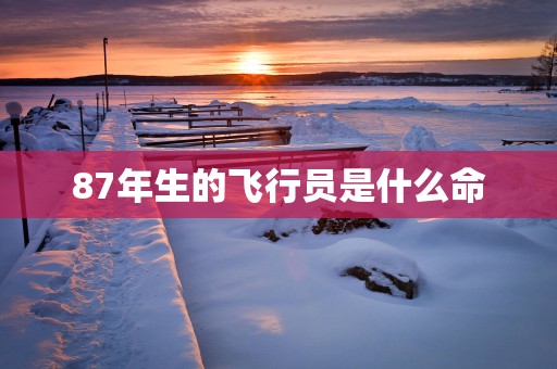 87年生的飞行员是什么命