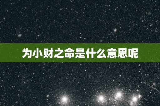 为小财之命是什么意思呢