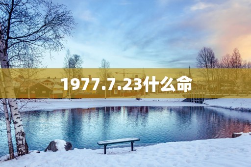 1977.7.23什么命