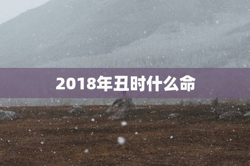 2018年丑时什么命