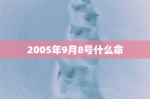 2005年9月8号什么命