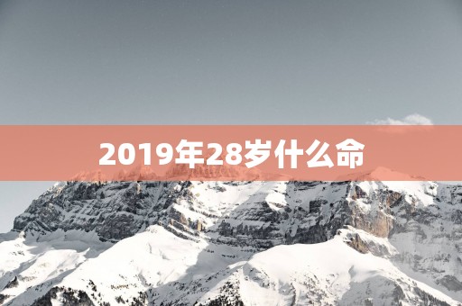 2019年28岁什么命