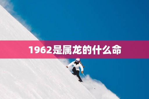 1962是属龙的什么命