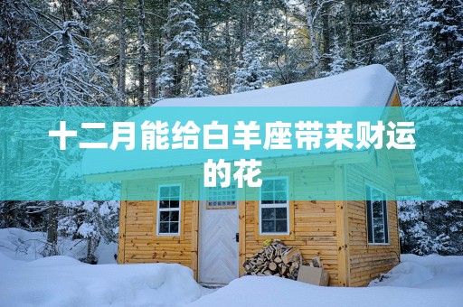 十二月能给白羊座带来财运的花