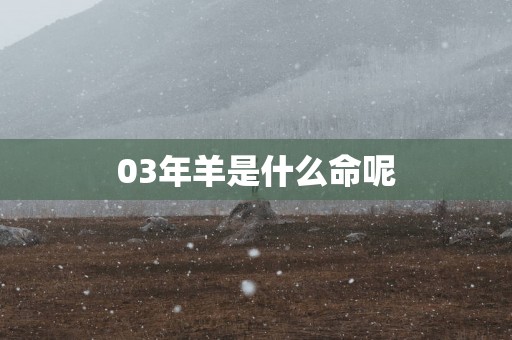 03年羊是什么命呢