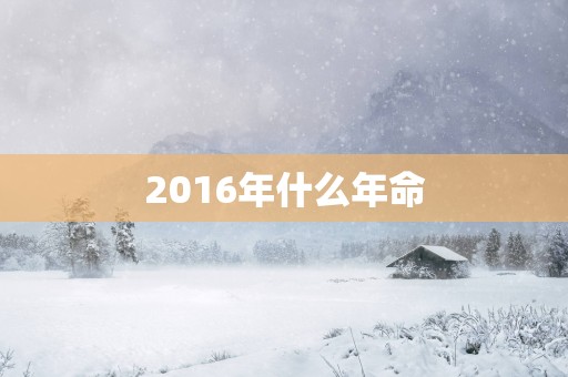 2016年什么年命