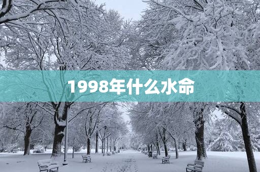 1998年什么水命