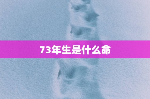 73年生是什么命