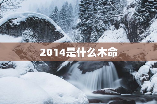 2014是什么木命