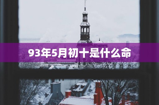93年5月初十是什么命