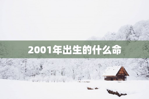 2001年出生的什么命