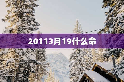 20113月19什么命