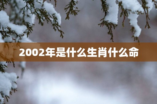 2002年是什么生肖什么命