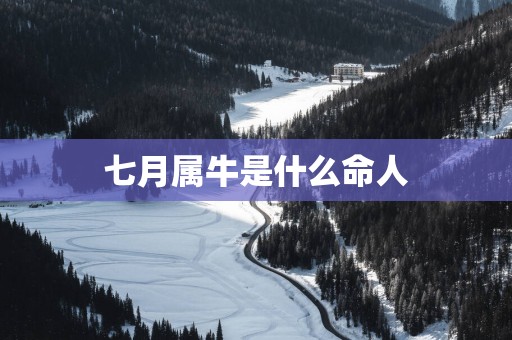 七月属牛是什么命人