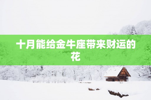 十月能给金牛座带来财运的花