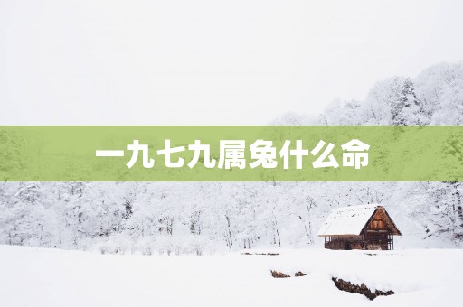 一九七九属兔什么命
