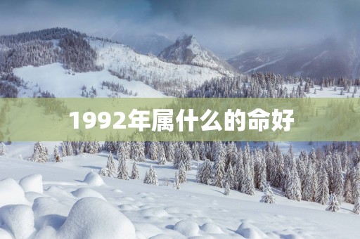 1992年属什么的命好