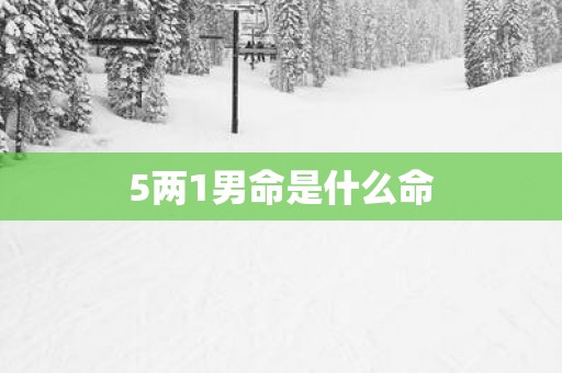 5两1男命是什么命