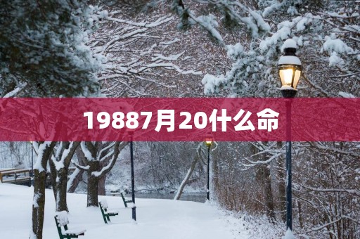 19887月20什么命