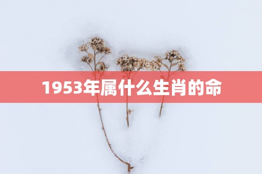 1953年属什么生肖的命