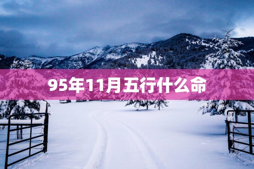 95年11月五行什么命