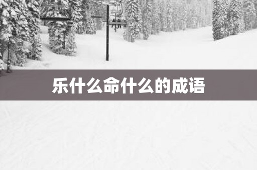 乐什么命什么的成语