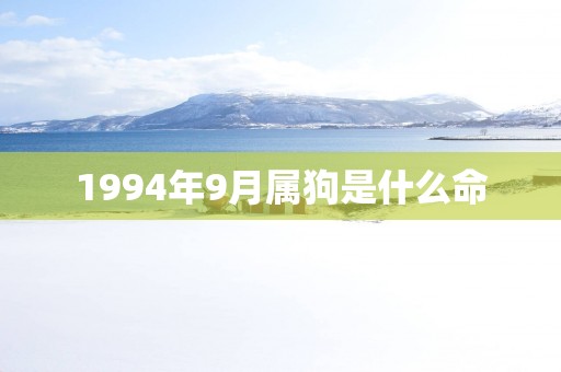 1994年9月属狗是什么命