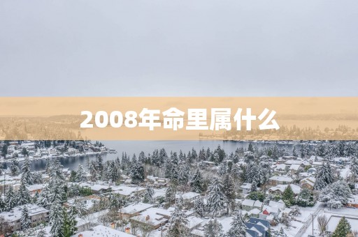 2008年命里属什么