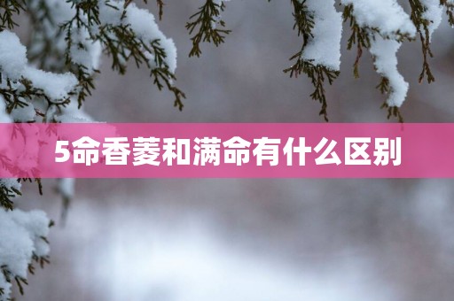 5命香菱和满命有什么区别