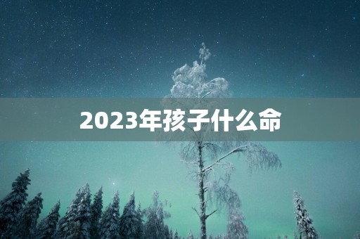 2025年孩子什么命