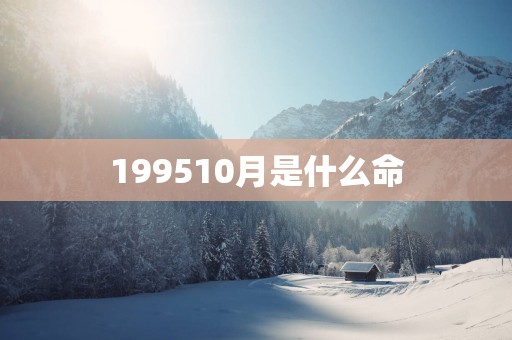 199510月是什么命