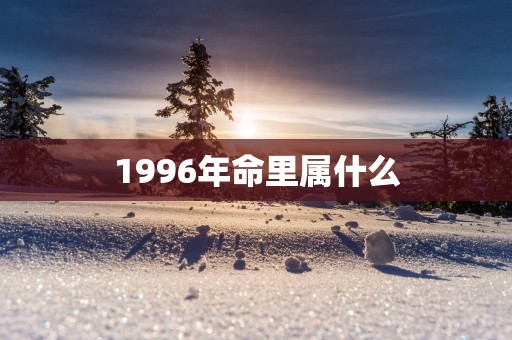 1996年命里属什么