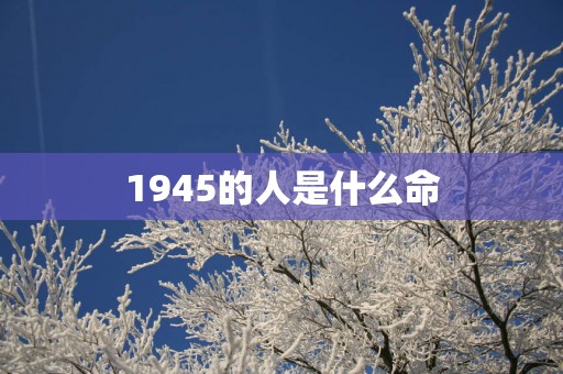 1945的人是什么命