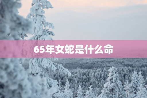 65年女蛇是什么命