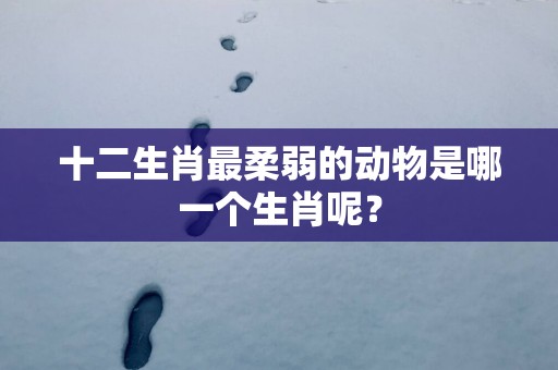 十二生肖最柔弱的动物是哪一个生肖呢？