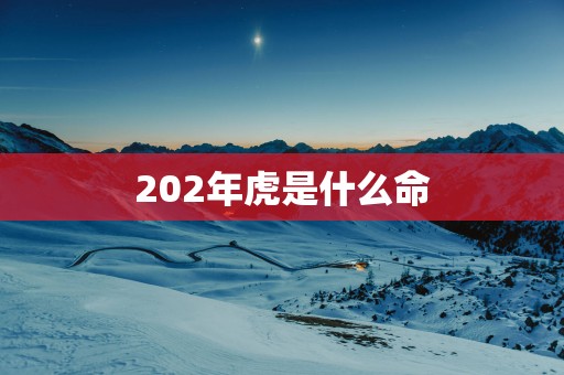 202年虎是什么命