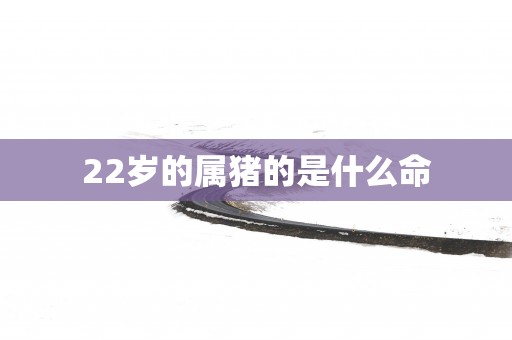 22岁的属猪的是什么命