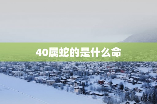 40属蛇的是什么命
