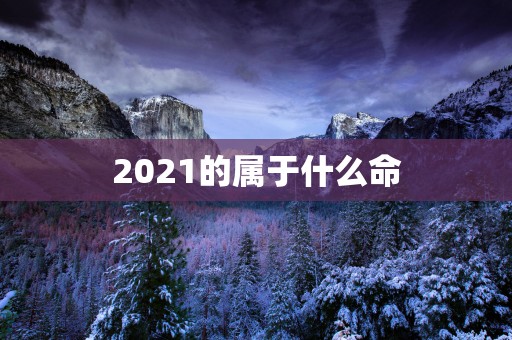 2025的属于什么命