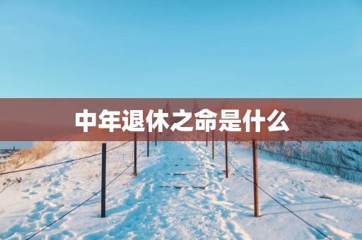 中年退休之命是什么