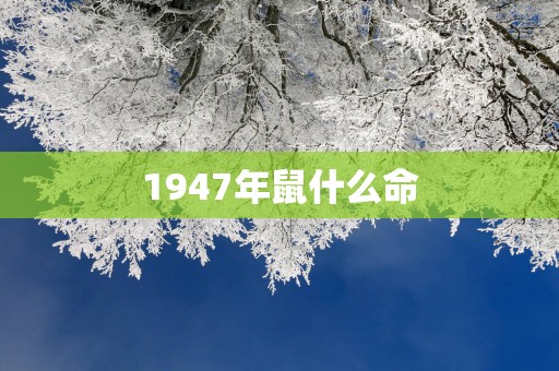 1947年鼠什么命