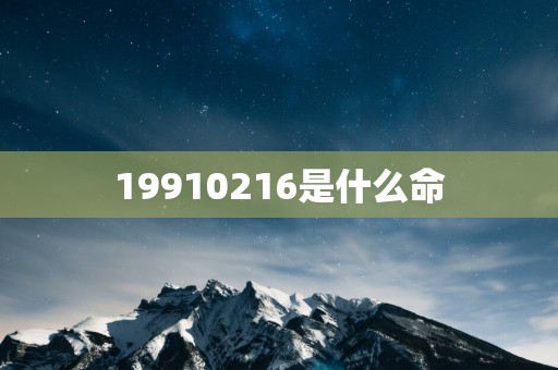 19910216是什么命