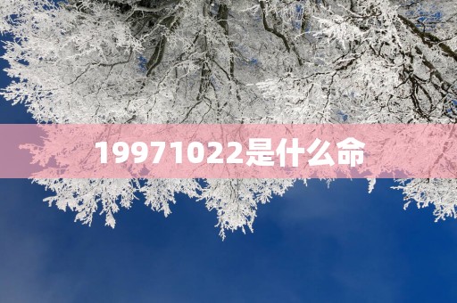 19971022是什么命