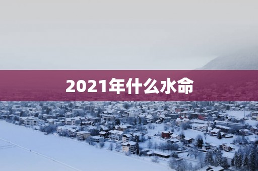 2025年什么水命