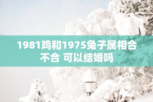 1981鸡和1975兔子属相合不合 可以结婚吗