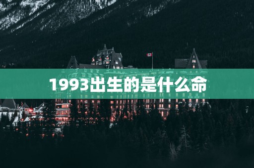 1993出生的是什么命