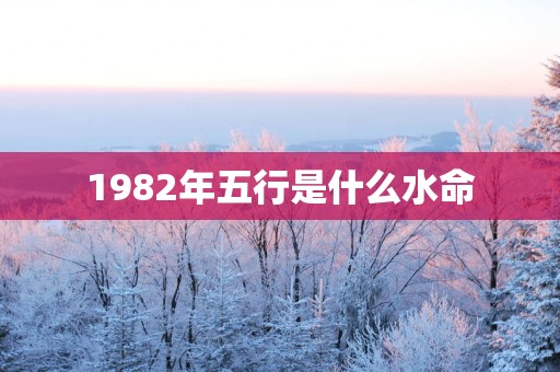 1982年五行是什么水命