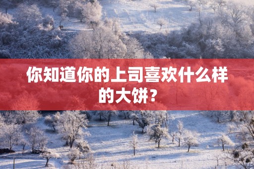 你知道你的上司喜欢什么样的大饼？